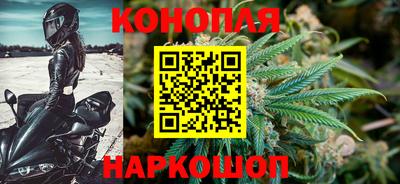 эйфоретик Кингисепп