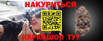 эйфоретик Кингисепп