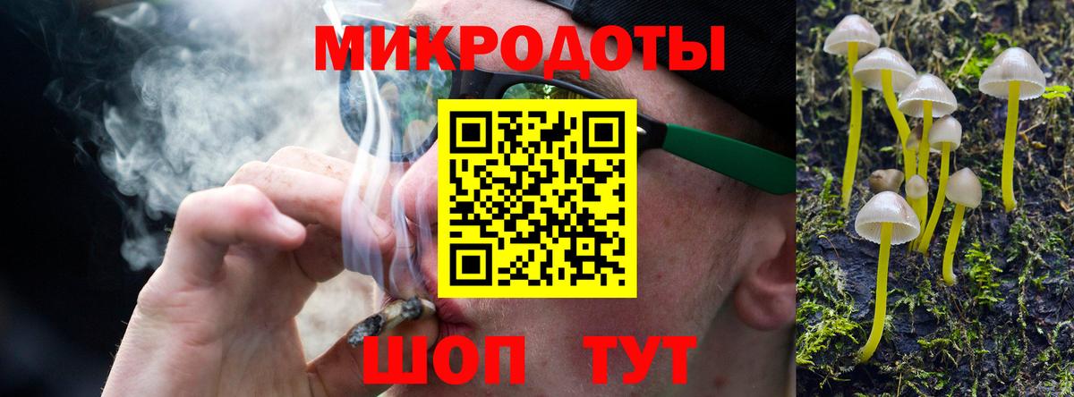 Псилоцибиновые грибы мицелий Фурманов