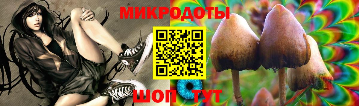 Фурманов  Галлюциногенные грибы прущие грибы  наркотики  Вход с VPN  Псилоцибиновые грибы прущие грибы 